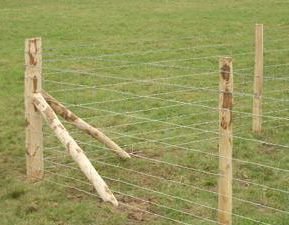 Gallery_AshevilleFence_ResidentialandCommercialFence.jpg.273d8c828720f0a4d6015c1d86936bbf.jpg