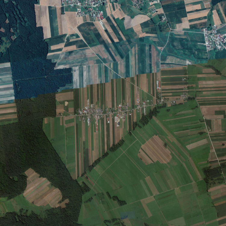 overview.png